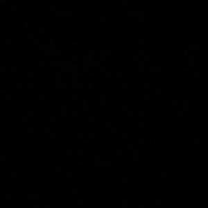 Meet your Posher, Nichole